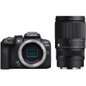 Canon EOS R10 + Sigma 16-300mm