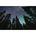 Tamron 16-30mm f/2.8 Di III VXD G2 objektiiv Sonyle