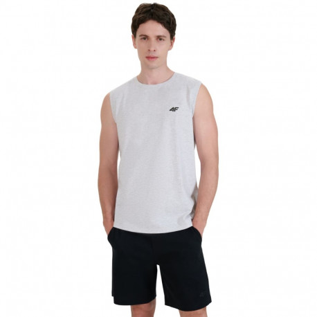 4F meeste t-särk M125 4FWMM00TSLEM125 27M L, jahe helehall melandž