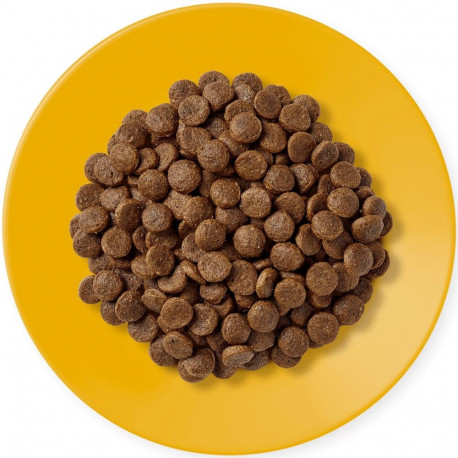 APPLAWS Adult Chicken - dry cat food - 400g