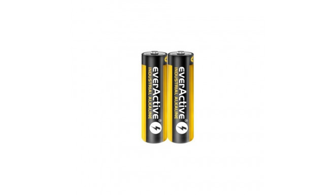 Alkaline Batteries - Everactive Lr6 Aa, White
