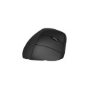 HP 920 Ergonomic Wireless Mouse