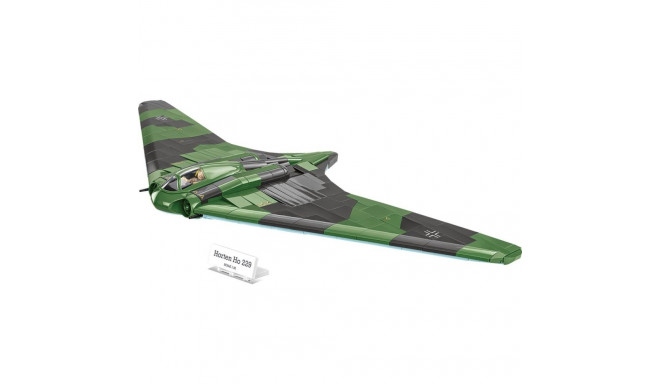 Horten Ho 229