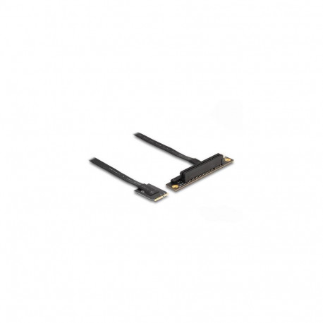 DeLOCK M.2 Key A+E to PCIe x8 NVMe Adapter angled with 20 cm cable