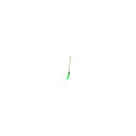 SAUBER Street broom with a round brush, green 8032638010313