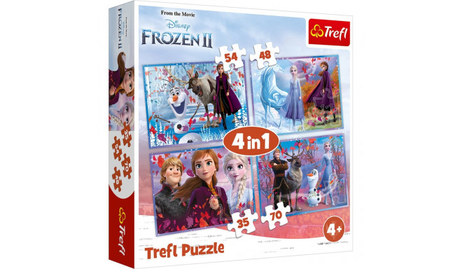 TREFL FROZEN Puslede komplekt, 4 tk, Frozen 2