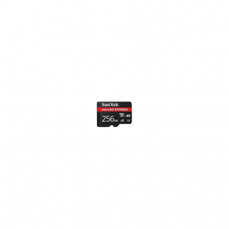 SanDisk MicroSD mälukaart Express 256GB A1 UHS-I UHS-II 210MB/s Switch2 0619659202064