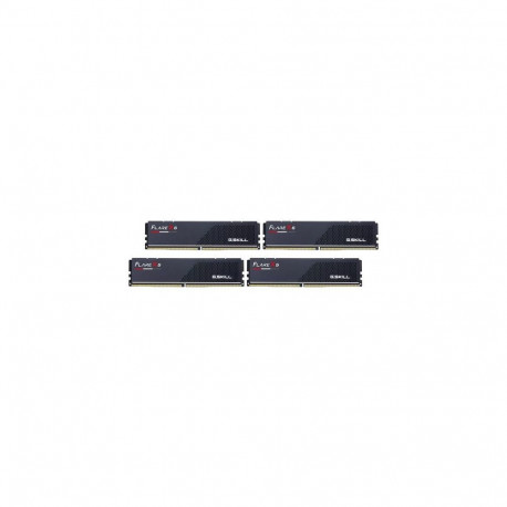 G.Skill Flare X5 F5-6000J3644D64GX4-FX5 memory module 256 GB 4 x 64 GB DDR5 5600 MT/s