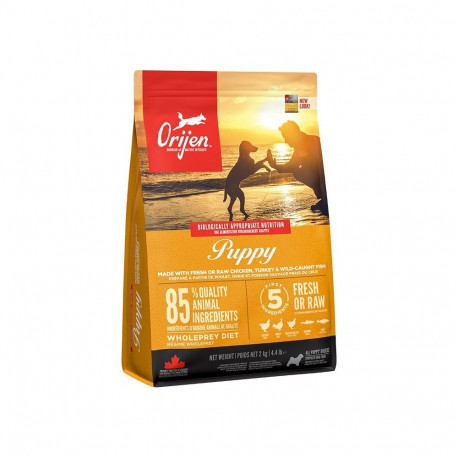 Dog Food - Orijen Puppy Dry Food 2kg Chicken Gluten-Free