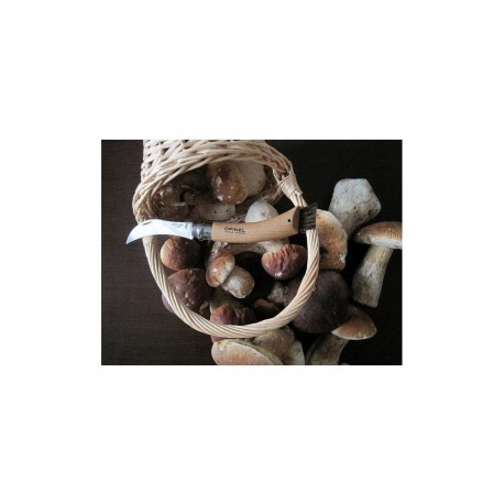 MUSHROOM KNIFE