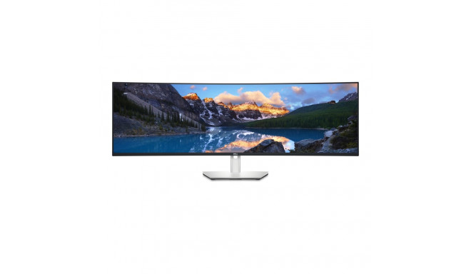 Dell UltraSharp 49 Curved Monitor - U4924DW, 124.5cm (49")