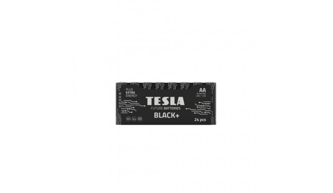 Battery Tesla AA Black+ R06 (24 pcs)
