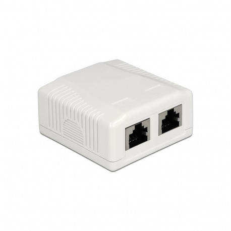 Delock Network Wall Outlet 2 Port Cat.6A LSA