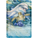 Affirmation Card - The Light Within 54 Cards & 184-Page Guide 11x16x3.8 cm