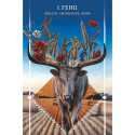 Divination Cards - Animal Guide Rune Kortos 25 Cards 288-Page Guidebook