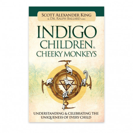 Book - Blue Angel Indigo Children & Cheeky Monkeys Understanding Unique Traits