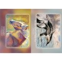 Oracle Deck - Bear and Company The Council of Horses 40 Cards Guidebook