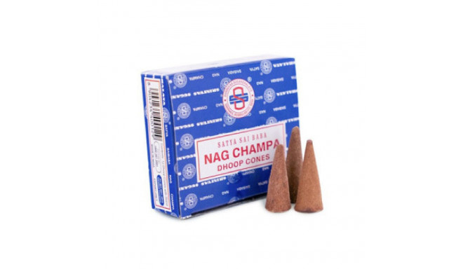 Incense Cone - Nagchampa 12 Cones with Burning Stand