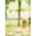 Oracle Deck - Midnight Sun Oracle 36 Cards Guidebook 14x10x3 cm 310 g