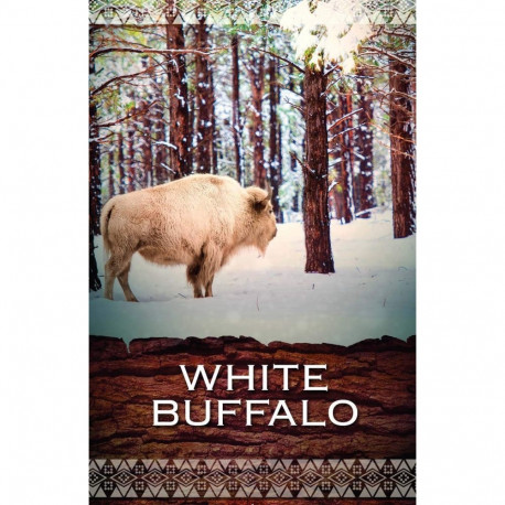 Oracle Card Deck - Native Spirit Oracle 48 Cards with Guidebook