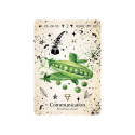 Oracle Card Deck - Green Witch Oracle 44 Cards 10.2 x 14.0 cm Plastic-Coated