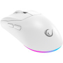 Rampage Prote M5 Pro Mouse (PROTEM5PRO-WHITE)