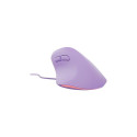 NATEC Crake 2 Pro universaalne paremakäeline USB Type-A optiline 12800 DPI hiir