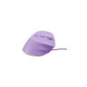 NATEC Crake 2 Pro universaalne paremakäeline USB Type-A optiline 12800 DPI hiir