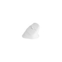 NATEC Crake 2 universaalne paremakäeline RF juhtmevaba + Bluetooth optiline 2400 DPI hiir