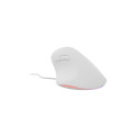 NATEC Crake 2 Pro universaalne paremakäeline USB Type-A optiline 12800 DPI hiir