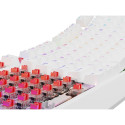GENESIS Thor 230 TKL keyboard Gaming USB QWERTY US English White