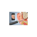 Bebird T15 1 pc(s)