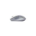 ASUS WT425 mouse Office Right-hand RF Wireless Optical 1600 DPI