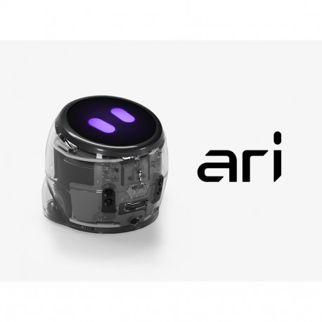 Ozobot Ari roboti stardikomplekt