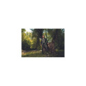Cerva L-sure Dawson jakk XL