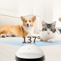 Enabot ROLA Mini Companion Robot | Enabot