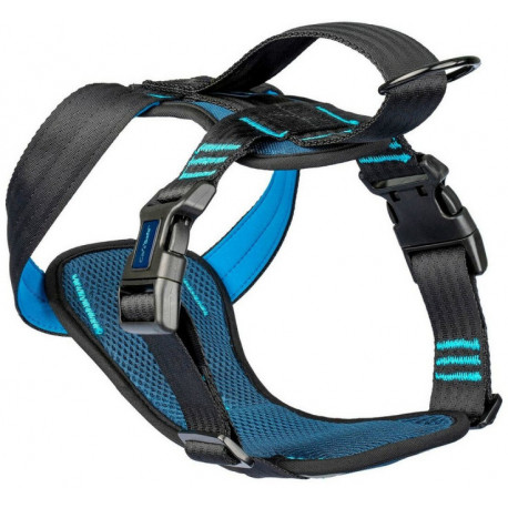 Company Of Animals dog harness CarSafe Crash Tested (M), blue