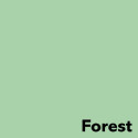 Colored paper A3 80g IMAGE Coloraction nr.65 pastel green (Forest) 500 sheets