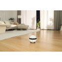 Enabot ROLA Mini Companion Robot