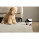 Enabot ROLA Mini Companion Robot