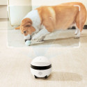 Enabot ROLA Mini Companion Robot