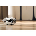 Enabot ROLA Mini Companion Robot