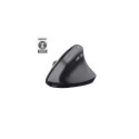 Trust Bayo II mouse Medical Right-hand RF Wireless Optical 2400 DPI