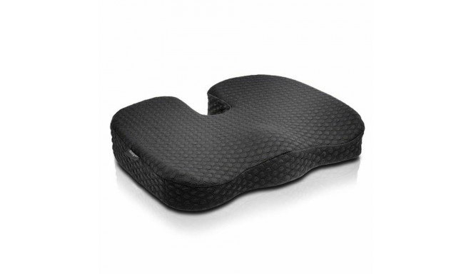 Toolipadi Kensington