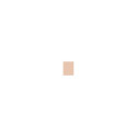 MAC Studio Fix Powder Plus Foundation (15g)