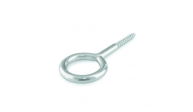 silmuskruvi 25x12x3,8x18 A2/ 4 tk