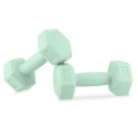 SET OF DUMBBELLS MONSTER 2X1KG GN LIGHT