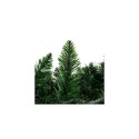Girlanda choinkowa 2.7m HQ lampidega Ruhhy 22325