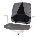 Fellowes Ergonomics professional back support pillow