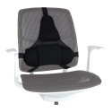 Fellowes Ergonomics professionaalne seljatugi padi